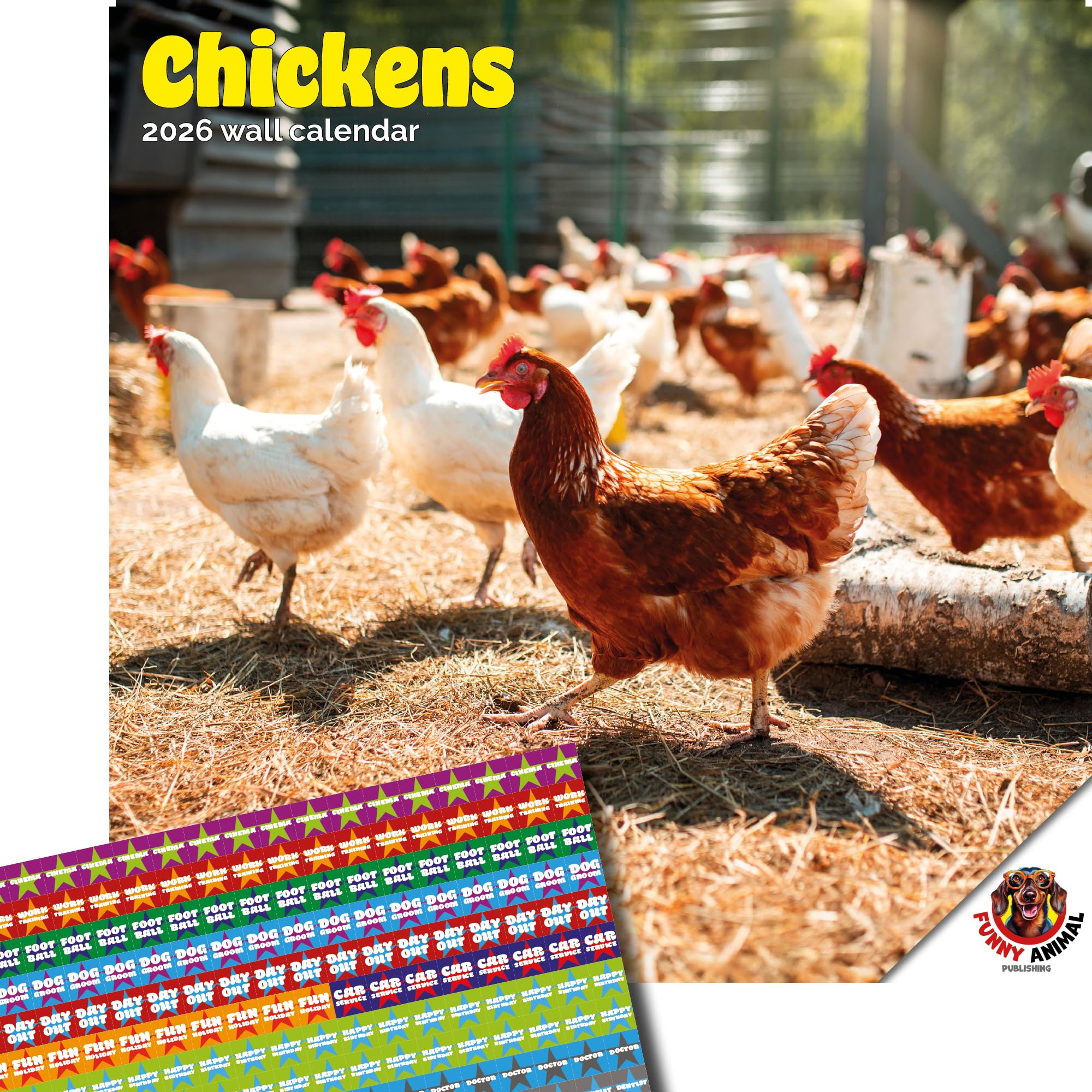Dayplanner Publishing Chickens Calendar 2025, Large Square Wall Calendar, 16 Month, Chickens Gift Animal Calendar