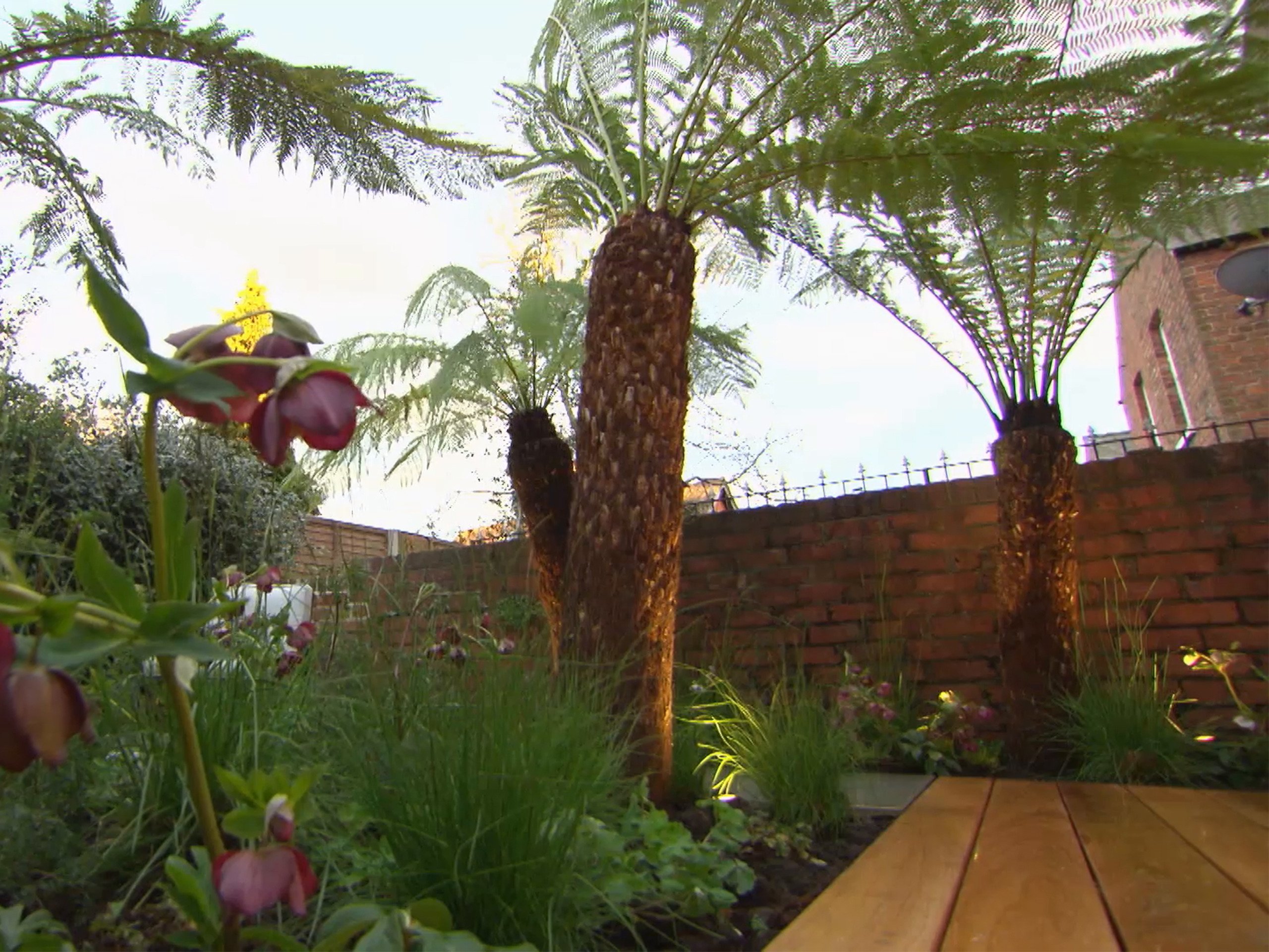 Watch Garden Rescue Season 1 Prime Video