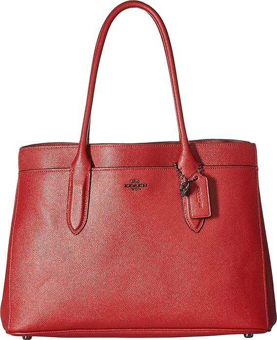 coach bailey carryall