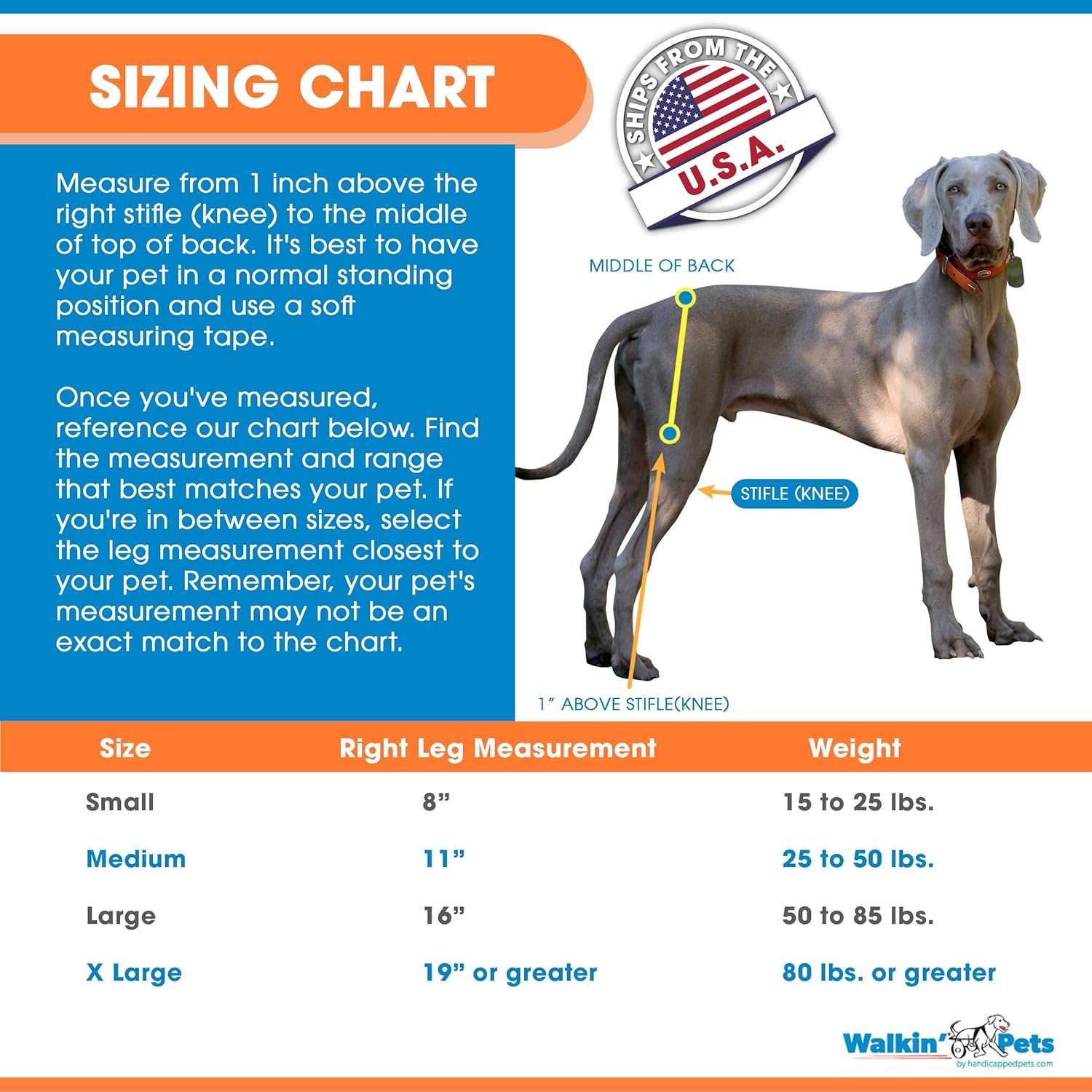 hip hound brace amazon