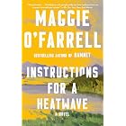 Instructions for a Heatwave: A novel (Vintage Contemporaries)