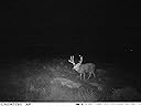 Great PICS, easy to set up