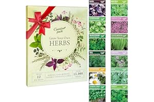 Grow Your Own Herbs Garden Kit - 12 Herb Seeds Variety Pack - Basil, Mint, Rosemary Seeds & More Packets in a Box with Growing Manual by Garden Pack