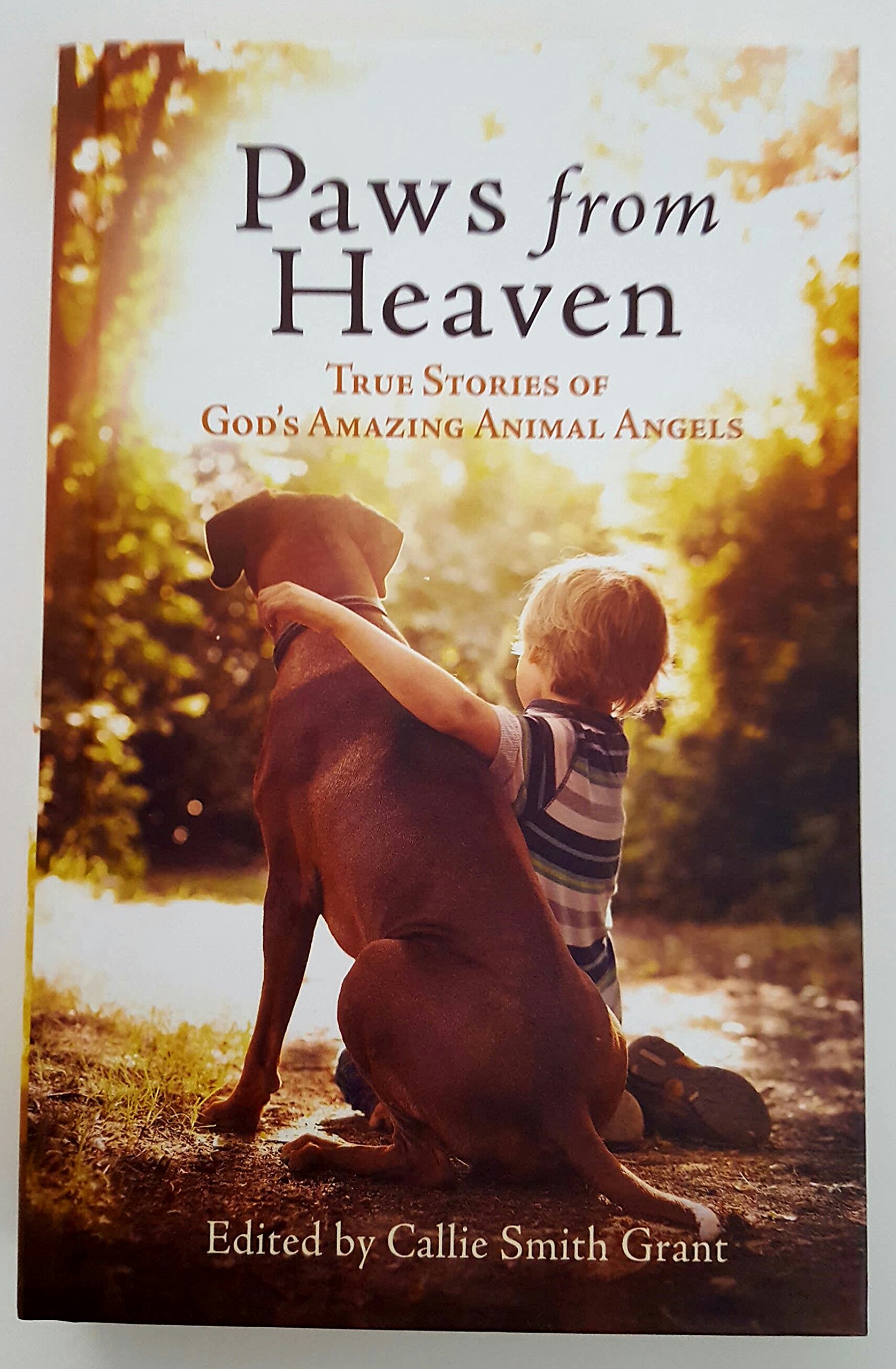 paws in heaven prices