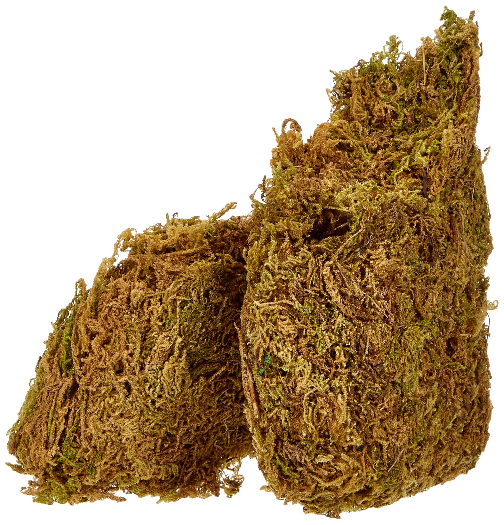 Glorex 6 2220 304 - Panel Moss 30 g Bag of Moss Sheets in Juicy Green for Decoration, Model Making and Nativity Building