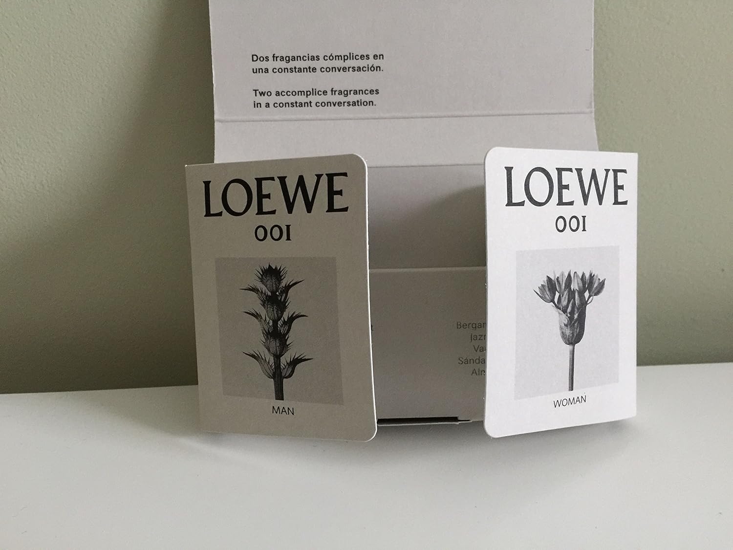 loewe perfume 001 man