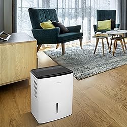 22 Pint Dehumidifier