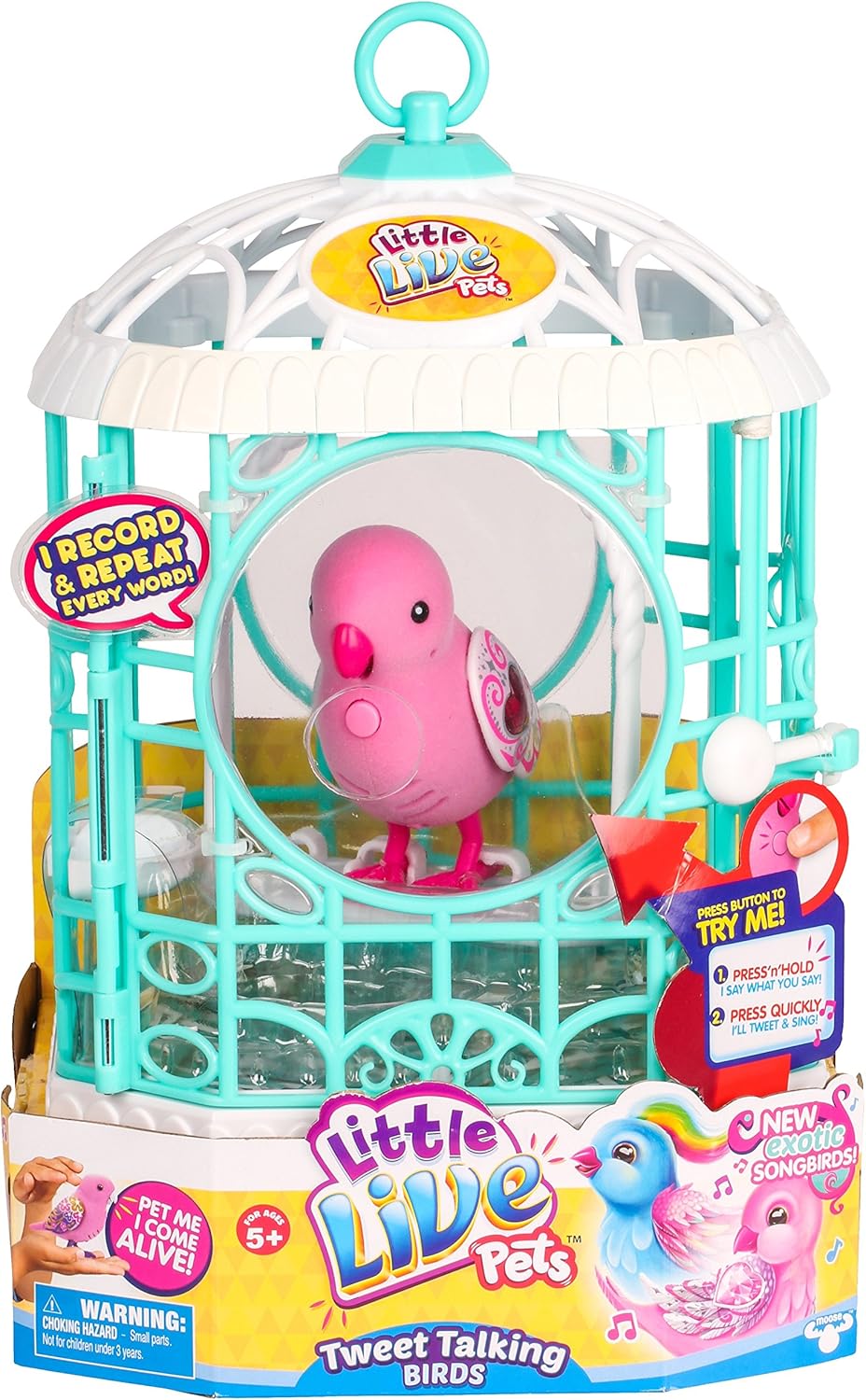 phantom toy poodle puppies