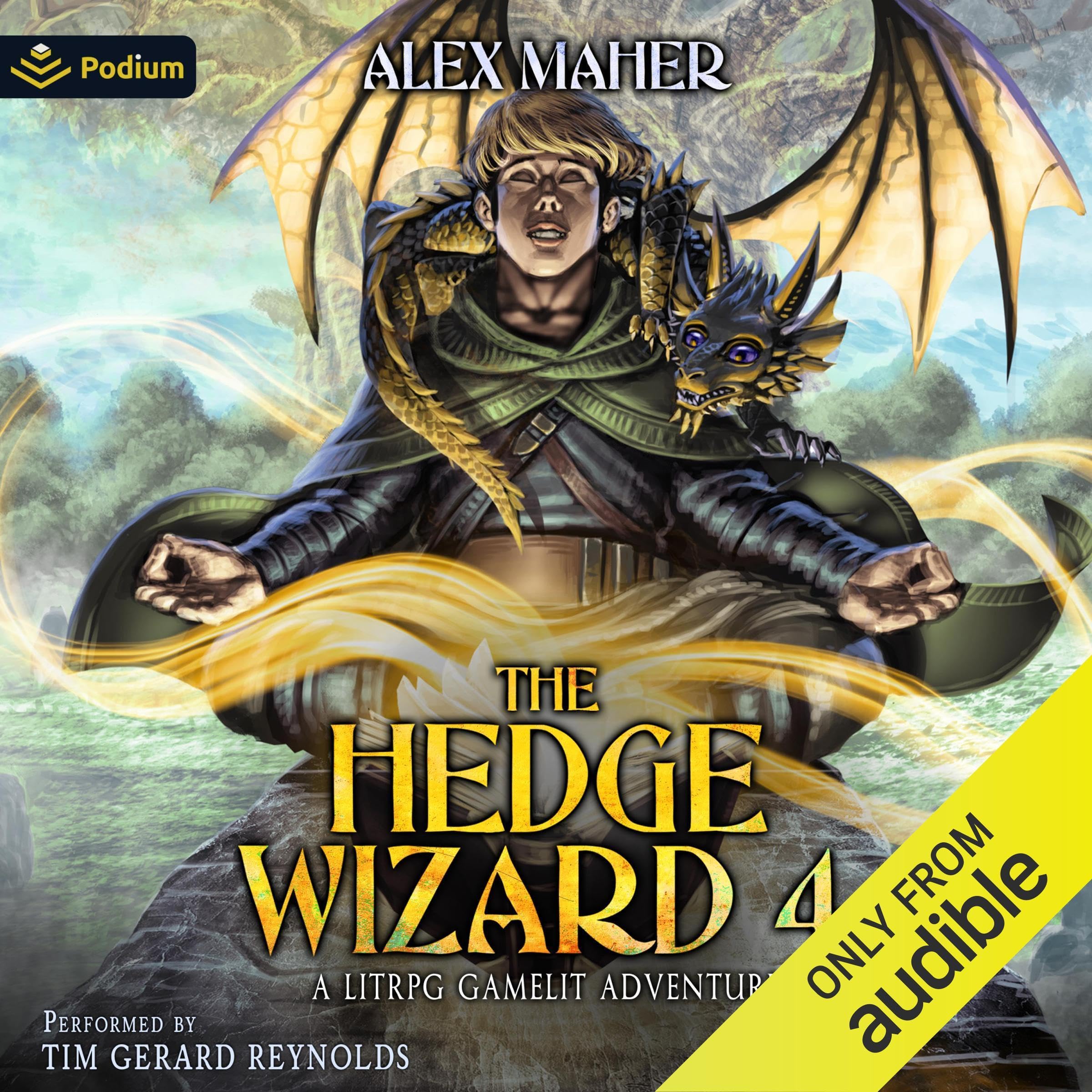 The Hedge Wizard 4: The Hedge Wizard, Book 4 Image