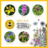 Seedball Bee Mix Seed Bombs 100 Seed Balls Pack Wildflower UK Native view 4