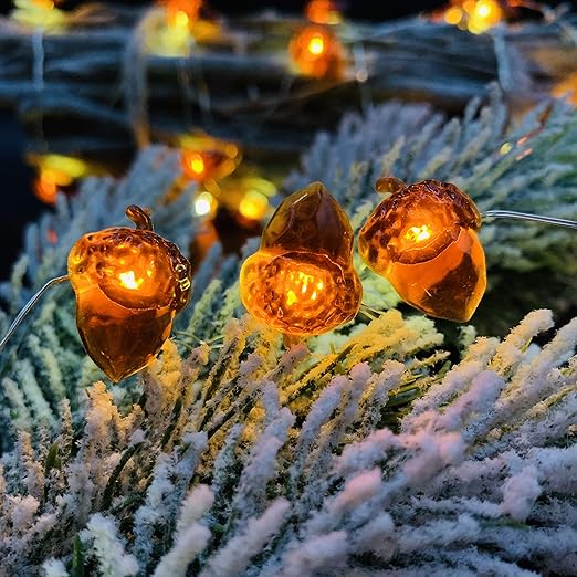Amazon Com Acorn Led String Lights Catstar Acorn String Lights