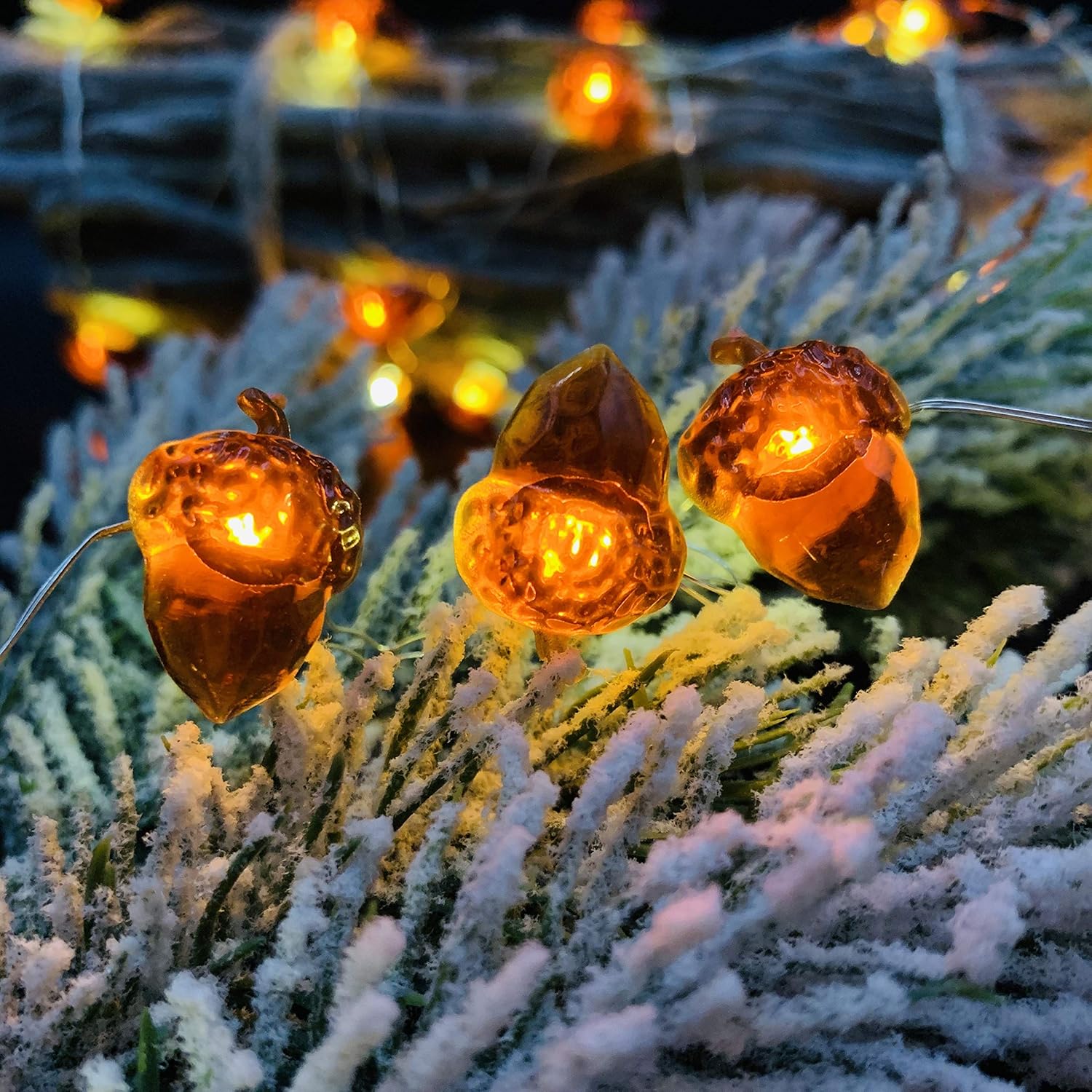 Acorn Led String Lights Catstar Acorn String Lights 10ft 40 Leds