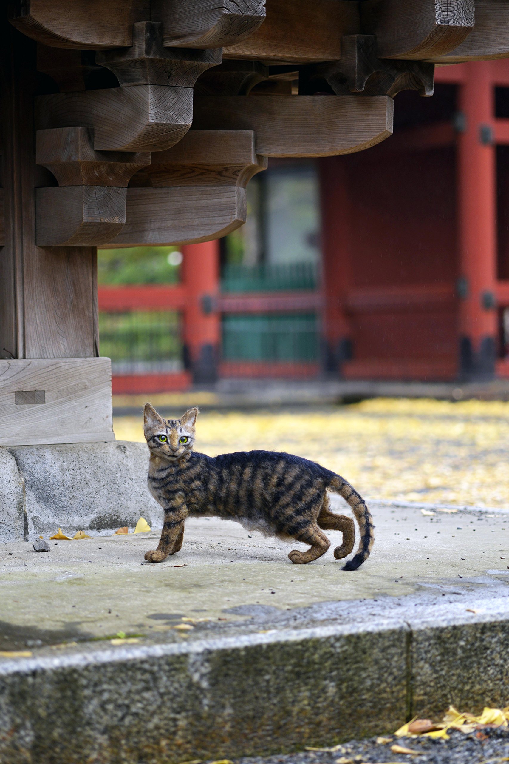 羊毛フェルトで作る もっと リアル猫人形 Twj Books Amazon Com Books