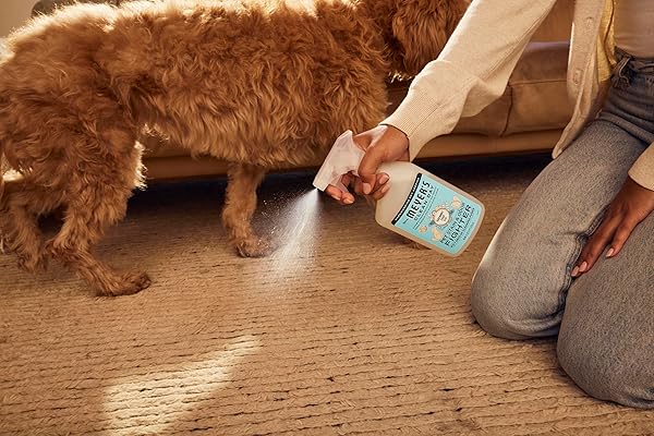 MRS. MEYER’S CLEAN DAY PET STAIN & ODOR FIGHTER, COCONUT LEAF SCENT, 16OZ