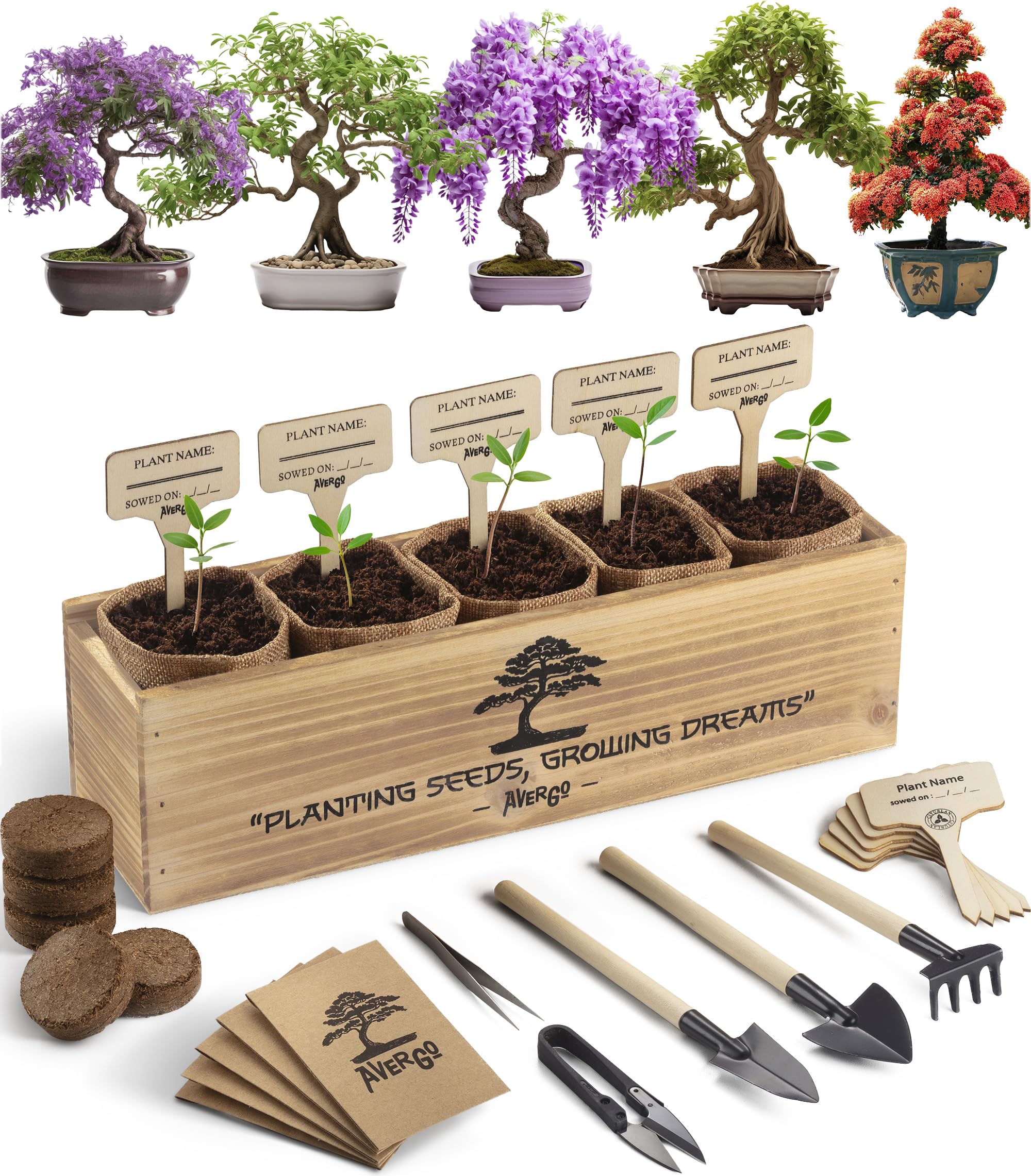 Photo 1 of AVERGO Bonsai Tree Kit – 5X Unique Japanese Bonzai Trees | Complete Indoor Starter Kit for Growing Bonsai Plants with Tools & Planters – Gardening Gifts for Women & Men
