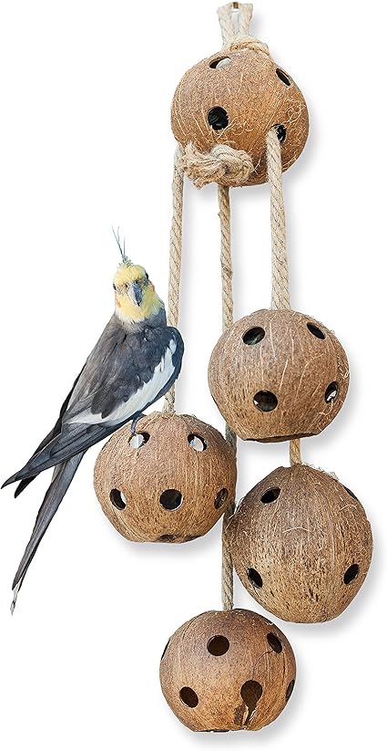 bird swing with mirror