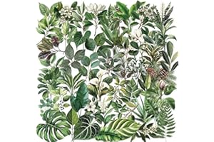 HJHEJST 50PCS Leaf Stickers PET Transparent Stickers Nature Green Decals Waterproof Decorative Decals for Scrapbook DIY Crafts Album Bullet Journal Planner Water Bottles Phone Cases Laptops (Leaf)