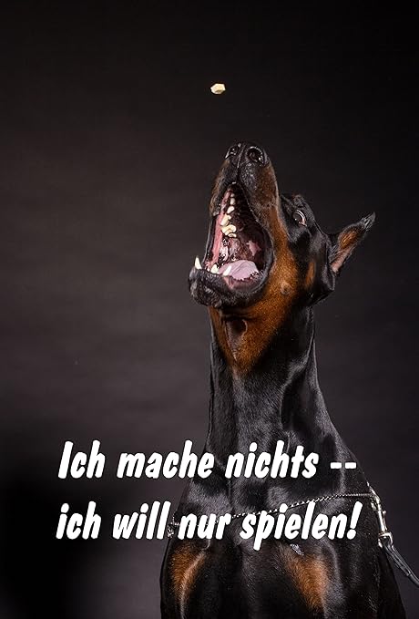 Amazon De Schild Warnschild Achtung Dobermann Ich Mache Nichts Ich Will Nur Spielen Hund