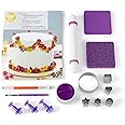 Wilton How to Decorate with Fondant Shapes and Cut-Outs Kit - 14-Piece Cake Decorating Kit with 3 Fondant Cutouts, Fondant Shaping Set, Roller, Dusting Pouch, 6 Cutters, Video Tutorial