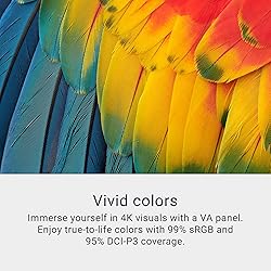 Dell 32 Plus 4K Monitor - S3225QS - 31.5-inch 4K