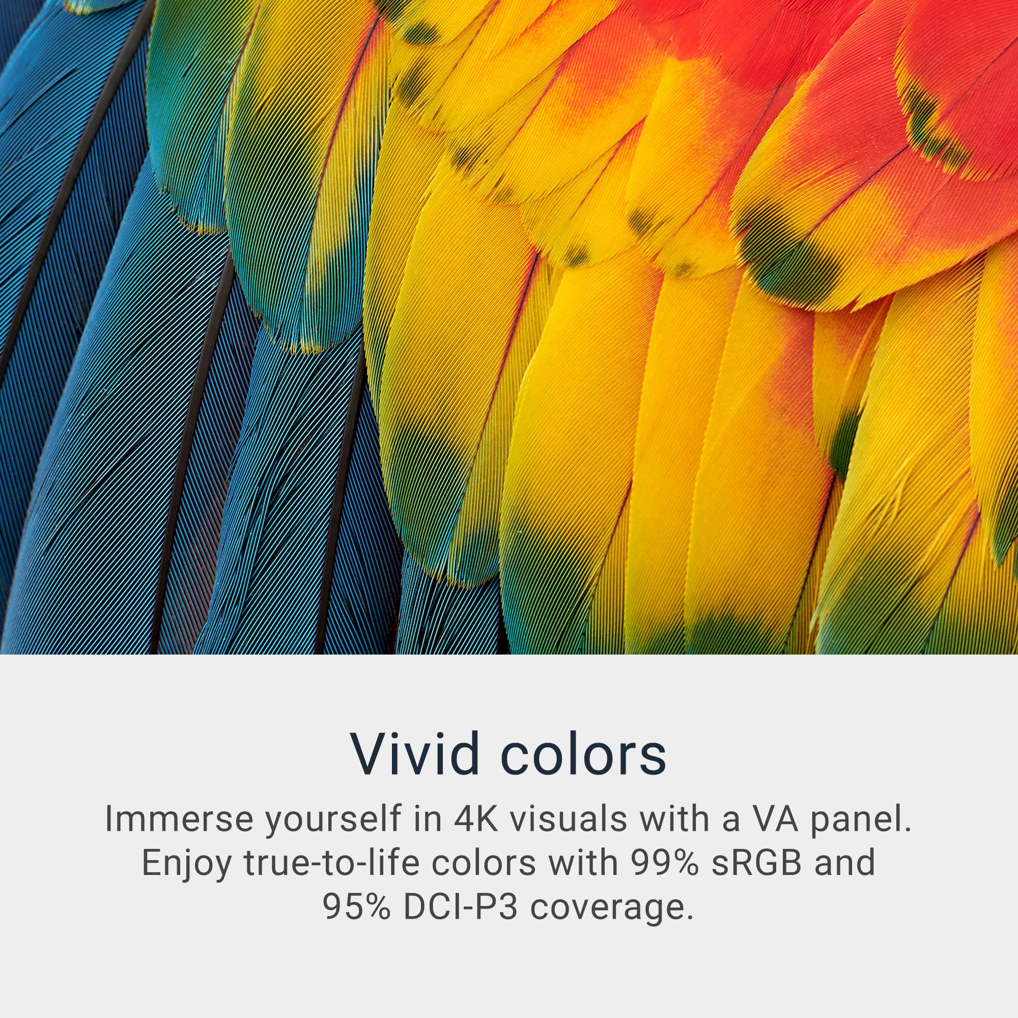 Dell 32 Plus 4K Monitor - S3225QS - 31.5-inch 4K (3840 x 2160) up to 120Hz 16:9 Display, VA Panel, AMD FreeSync Premium, 99% sRGB, 95% DCI-P3, 1500:1 Contrast Ratio, Comfortview Plus - Ash White