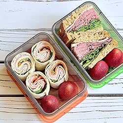 Youngever 9 Sets Thick Bento Lunch Box, Meal Prep