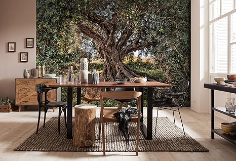 Komar Fototapete'Olive Tree', 368 x 254 cm, 8 Teile