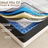 Matoresu 25CM Extra Firm Double Hybrid Mattress 135x190x25CM view 3