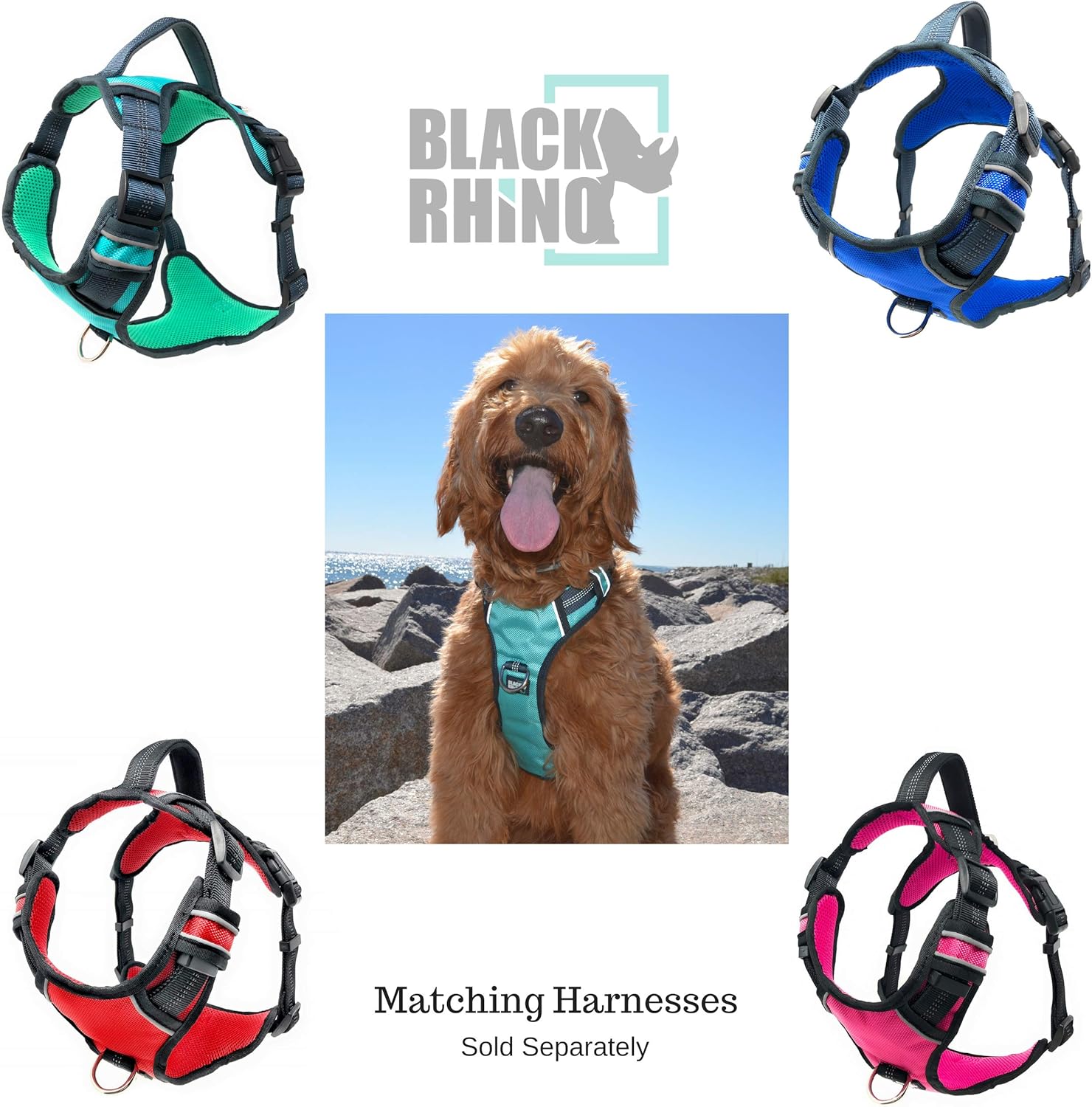 Leash Rhino Dog Collar Dog Collar Pinch Watch Black Rhino Leash