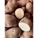 Russet Potatoes ( NON GMO-Gluten Free ) Produce of USA - 5 LBS