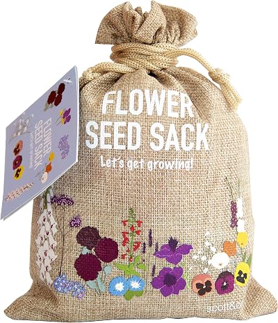 Scott&Co Flower Seed Variety Pack 30 Varieties Bee Butterflies Grow Indoor