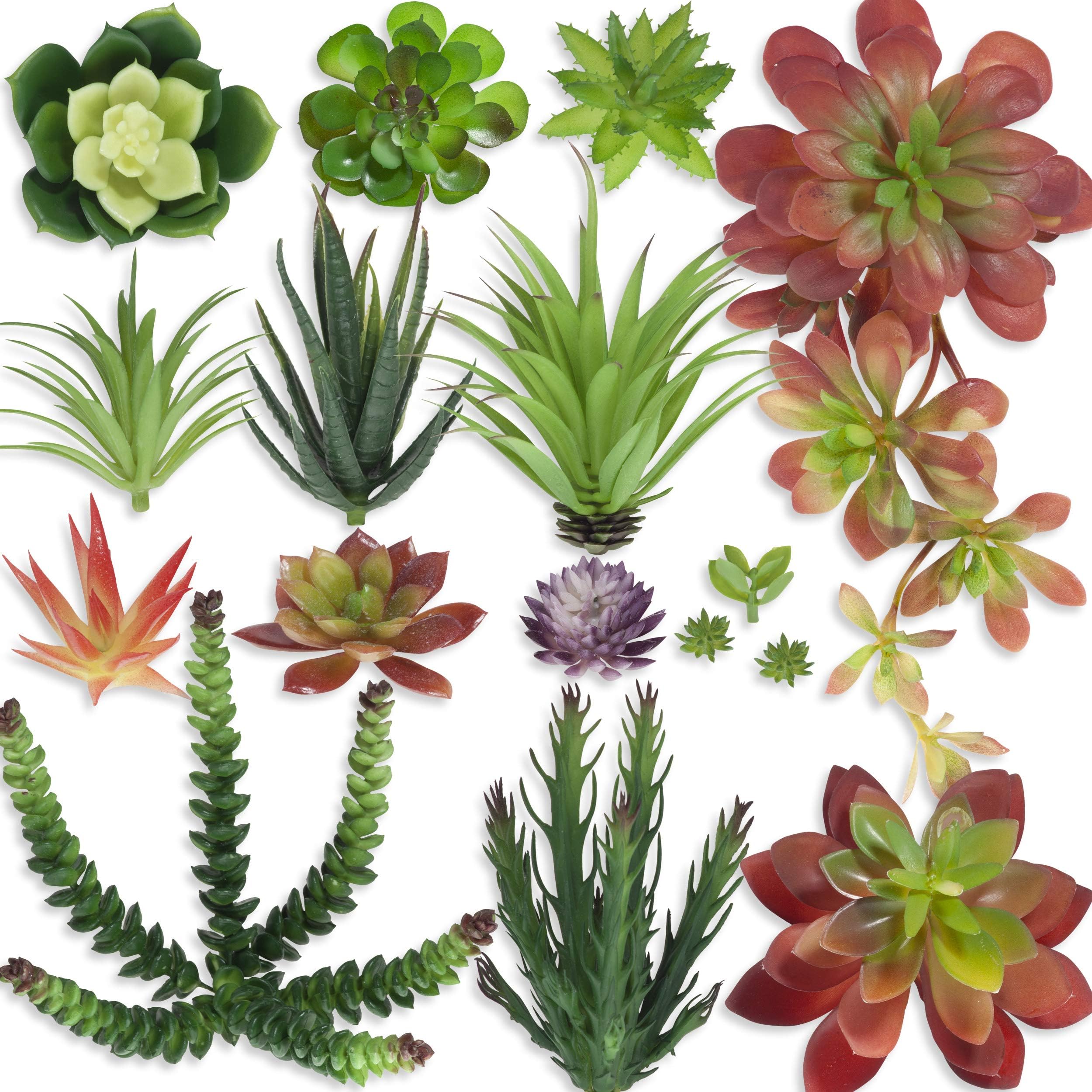 Succa Succulents Realistic Face Succulent Plants – Decor Set of 16 Artificial Succulent Plants Unpotted – Premium Faux Succulents Bulk – Assorted Feaux Succulent Picks and Face Cactus Plants