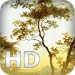 European painting HD