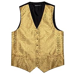 Barry.Wang Gold Paisley Waistcoat Vest Necktie Set