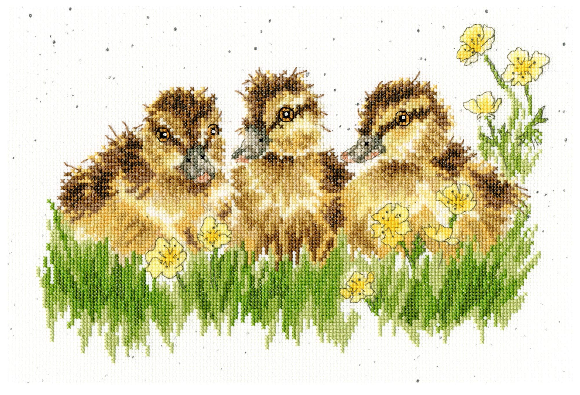 Bothy Threads Cross Stitch Kit - Buttercup