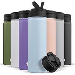 JoyJolt Triple Insulated Water Bottle with Straw