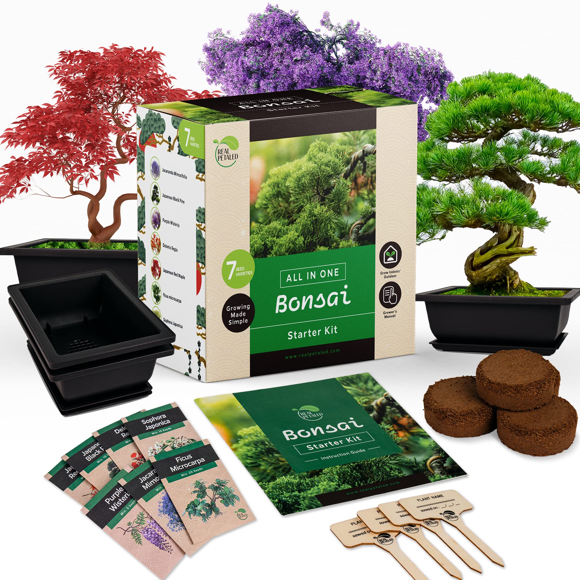Photo 1 of REALPETALED Bonsai Starter Kit – Japanese Bonsai Tree Kit with Bonsai Tools, 7 Bonsai Tree Seeds, Pots – Complete Grow Your Own Bonsai Tree Live Kit – Plant Lover Gifts Home Gifts for Men and Women