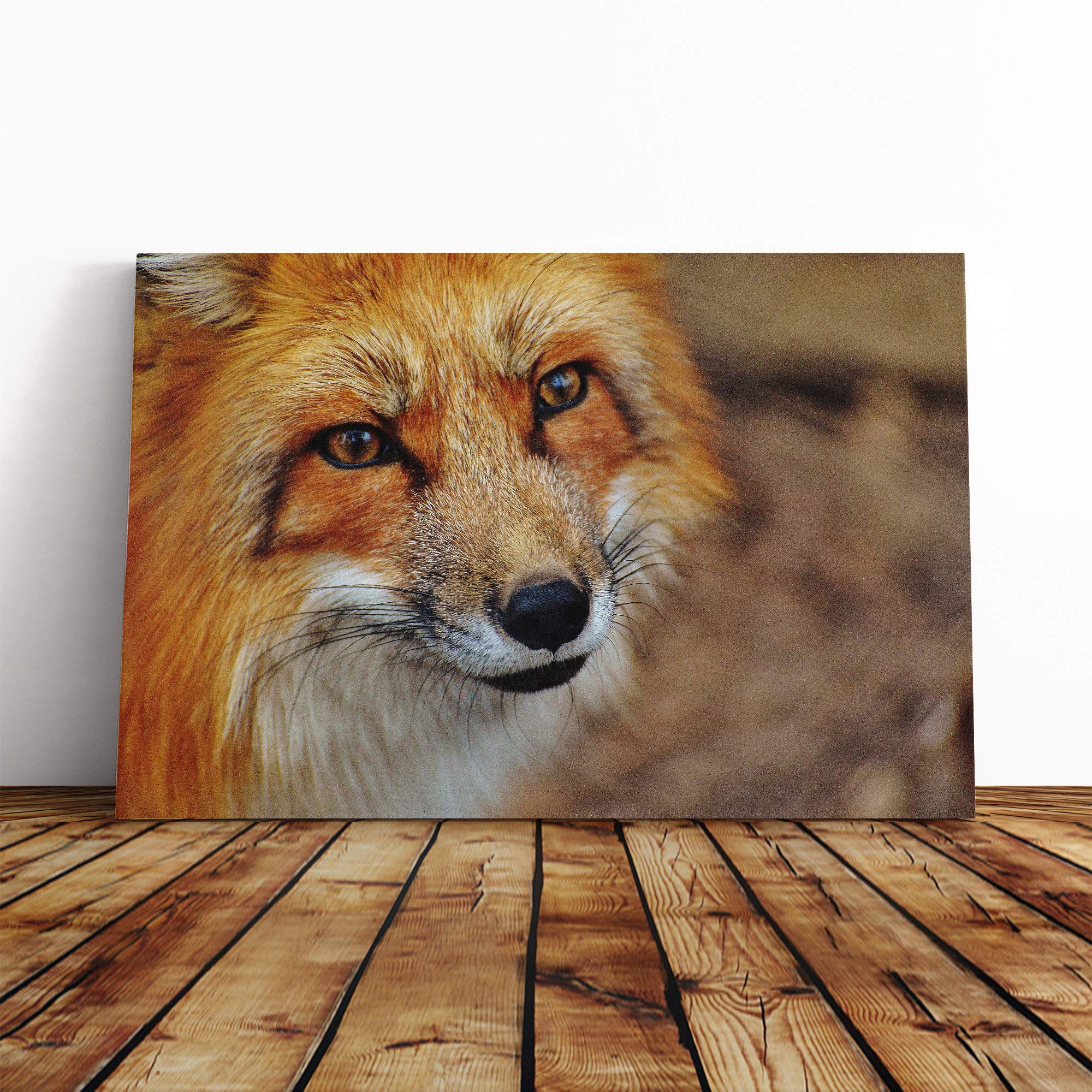 Red Fox (5) Canvas Print | Gallery Wrapped 30mm Frame Wall Art | 20x14 inches | Ready to Hang | Modern Animals Picture | Living Room Bedroom Lounge Office