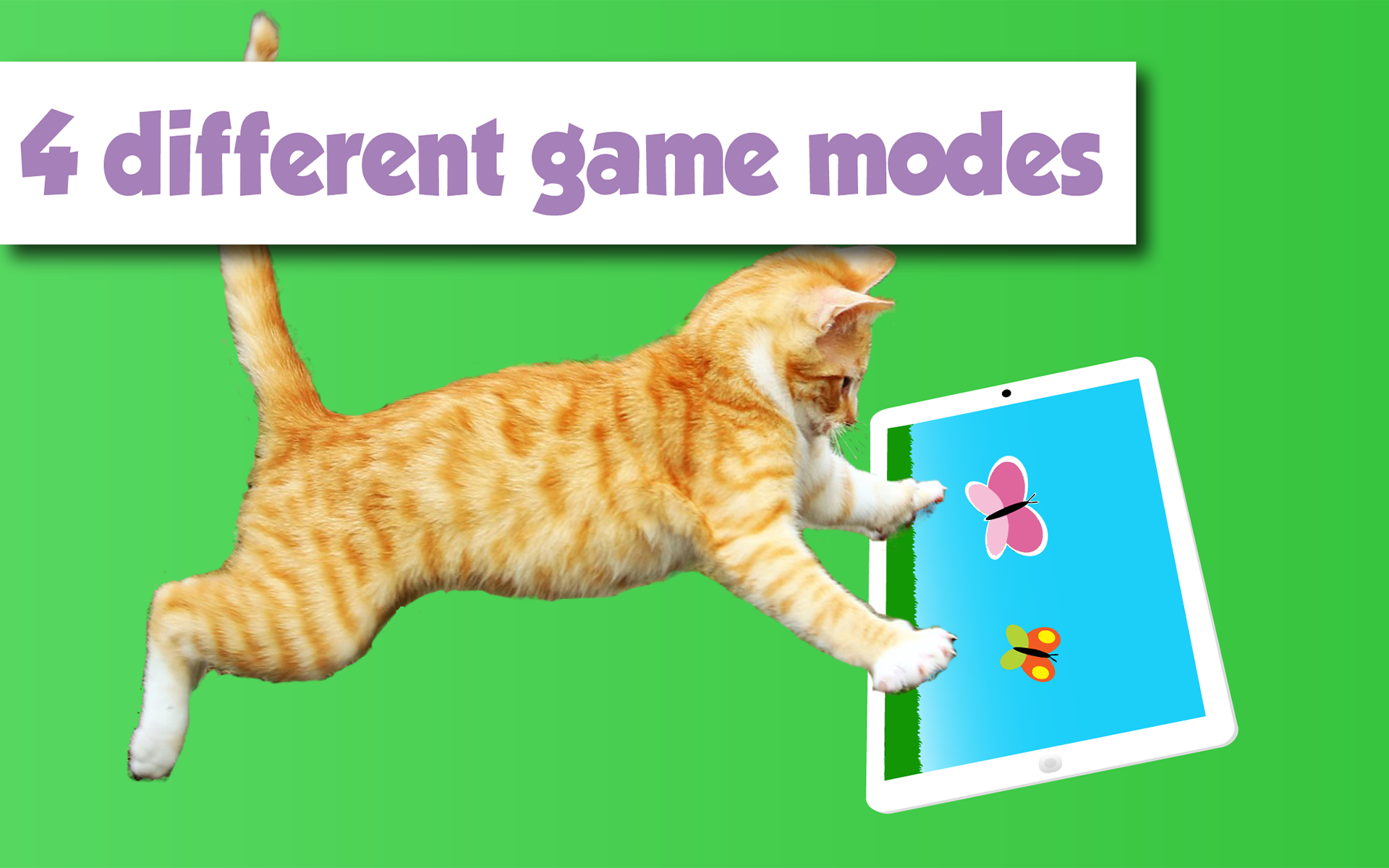 Happy Cats a game for Cats Apps & Games