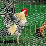 UNU Chicken Wire Mesh Roll 26 m 0.5 mm 2.5x5 cm Garden Fencing view 5