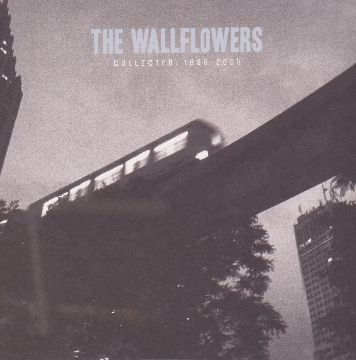 Wallflowers Collected 19962005 Music