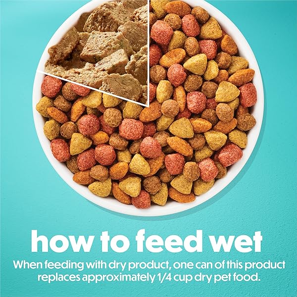 PURINA BENEFUL SMALL BREED WET DOG FOOD, INCREDIBITES LOAF WITH REAL SALMON RECIPE – (PACK OF 12) 3 OZ. CANS