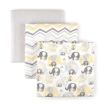 summer camera monitor app