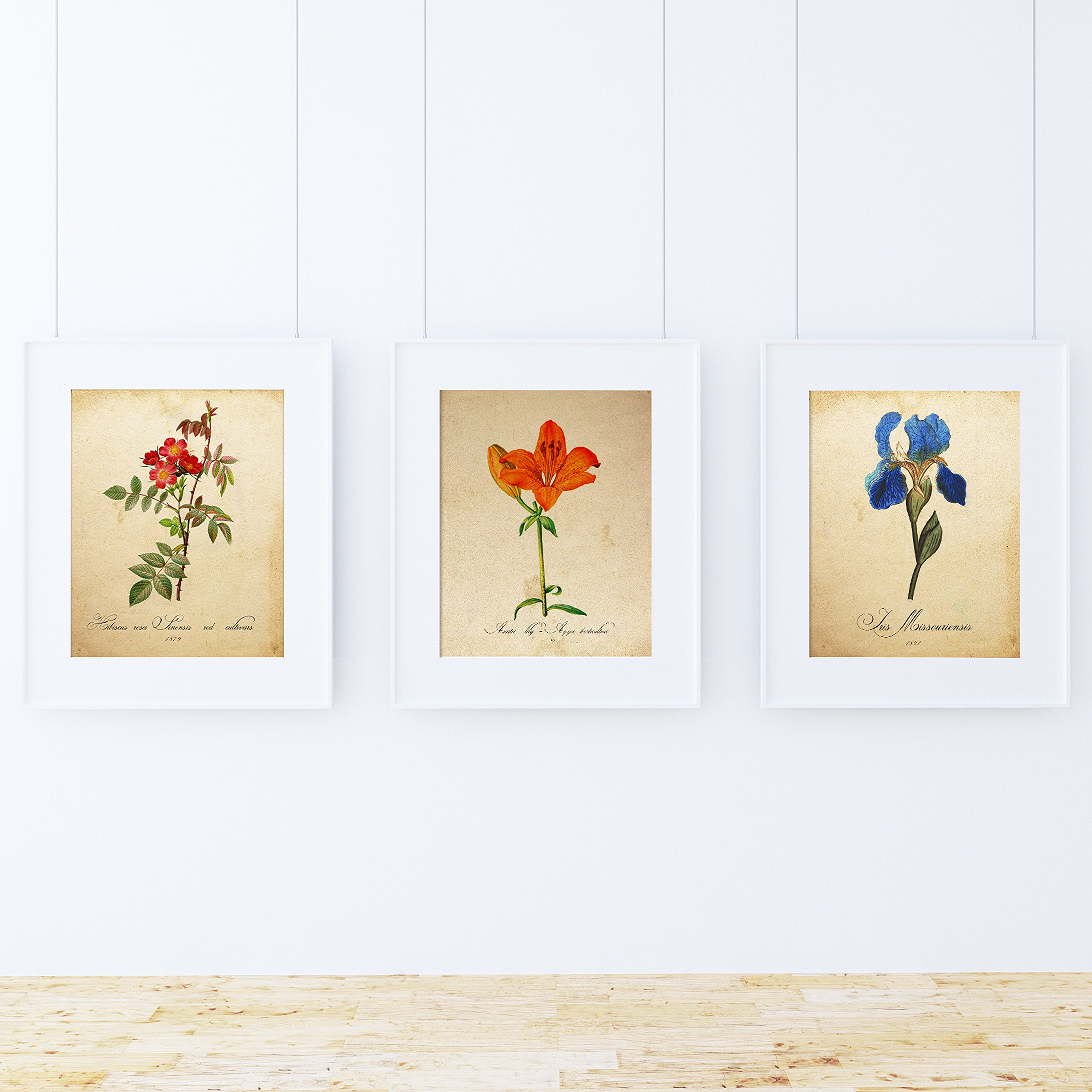 Pack of Sheet My Garden Blue. Posters with Images of Botanical. Home Decor. Sheets for framing Paper 250 Grams — image 1