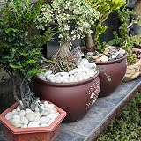 Hisredsun 3.96 lb White Polished Decorative Stones 2-3.5 cm Pebbles view 7