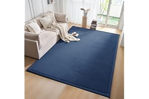 ALEGTER Navy Blue Coral Pile Carpet with Non-Slip Backing on Reverse Side of Floor mat,Room Rug Large Solid Color mat Suitable for Living Room Bedroom Yoga Mat Baby Crawling Mat,60 x 80