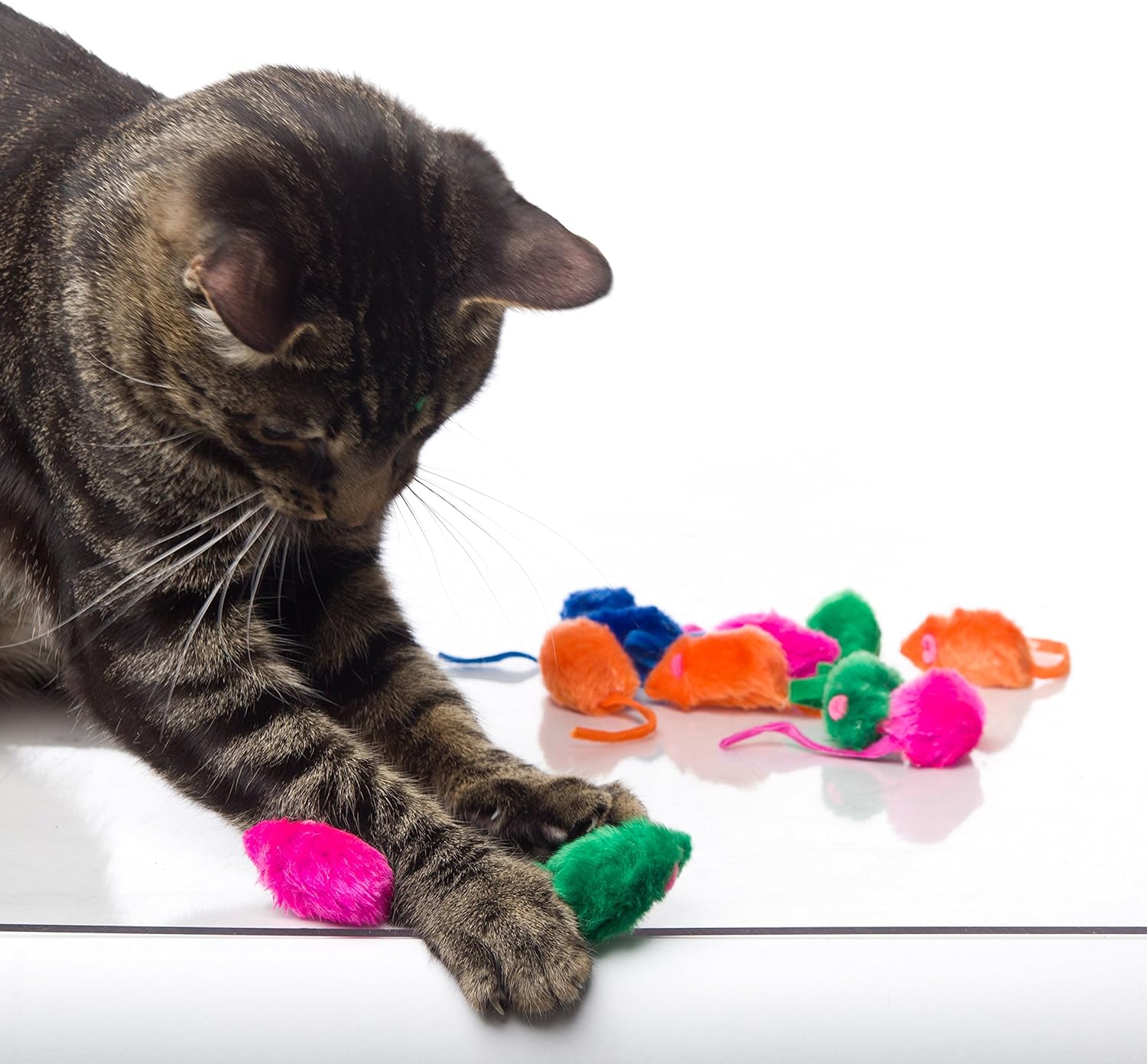 HARTZ Just For Cats Kitty Frenzy Catnip Mice Toys - 12 Pack : Catnip Toys : Pet Supplies