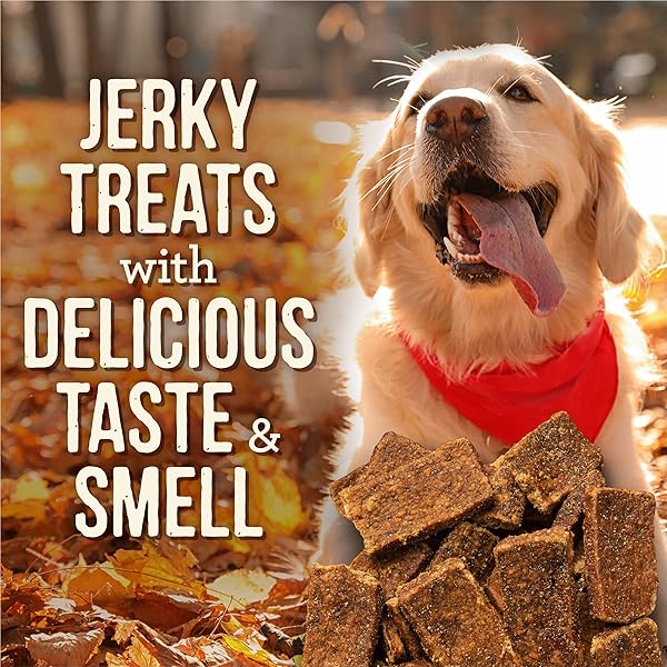 MERRICK BBQ SLOW COOKED BEEF, TEXAS STYLE GLAZED JERKY STRIPS DRY DOG TREATS, 10 OZ.