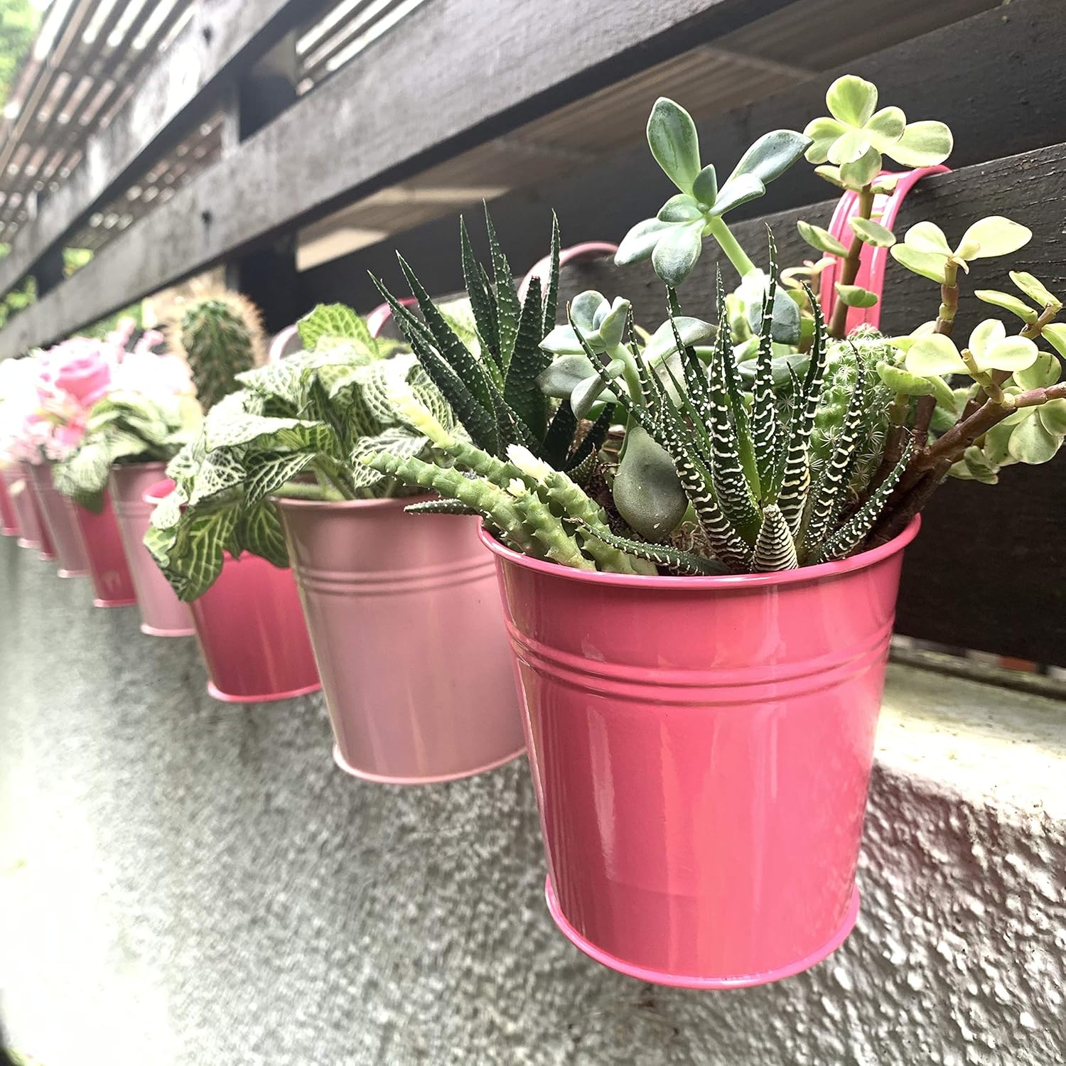 Hanging Pots for Plants -10 Pack, Pink Metal Small Succulent Pots, Mini Flower Pots for Balcony Garden, Fence Railing Planters, Indoor Outdoor Wall Decor, macetas para plantas decorativas, suculentas