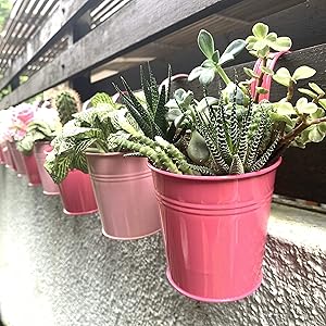 Hanging Pots for Plants -10 Pack, Pink Metal Small Succulent Pots, Mini Flower Pots for Balcony Garden, Fence Railing Planters, Indoor Outdoor Wall Decor, macetas para plantas decorativas, suculentas